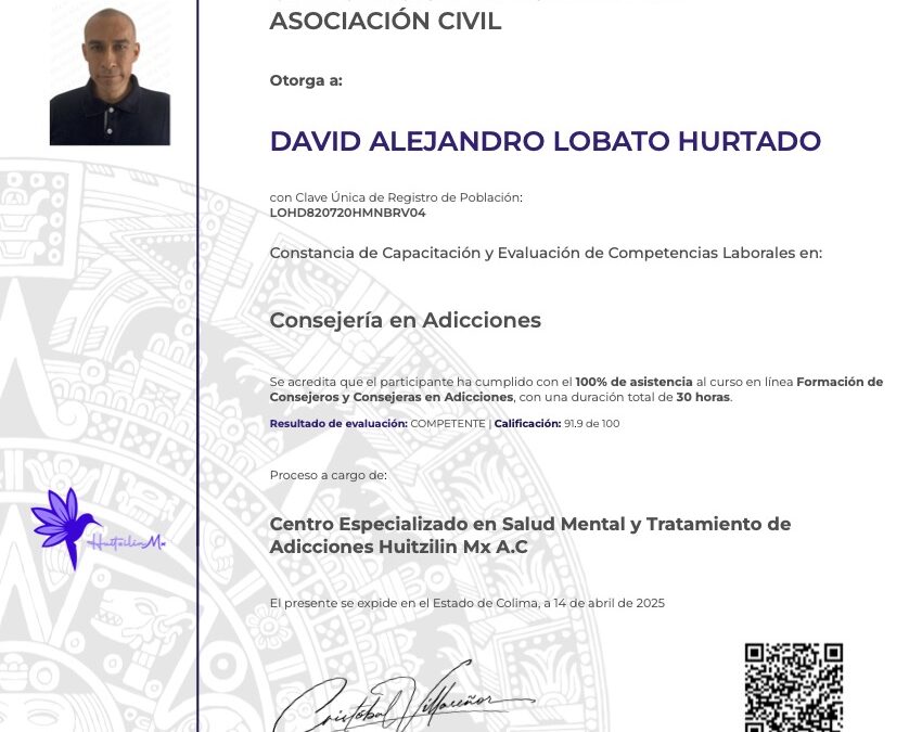 HZN-C202500031 | DAVID ALEJANDRO LOBATO HURTADO